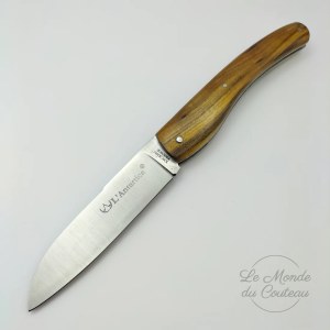 Antartica Pistachio Wood Folding Knife