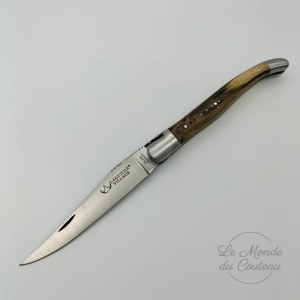 Laguiole Village Klappmesser 12cm Pistazienbaum 1