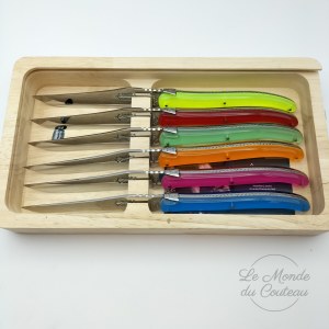 6er-Set Laguiole Plexi G.David