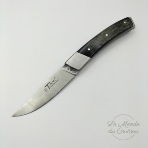 Thiers Gilles Buffle Taschenmesser