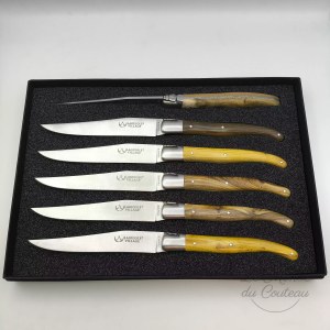Estuche de cuchillos de mesa Laguiole Village Resto de pistacho